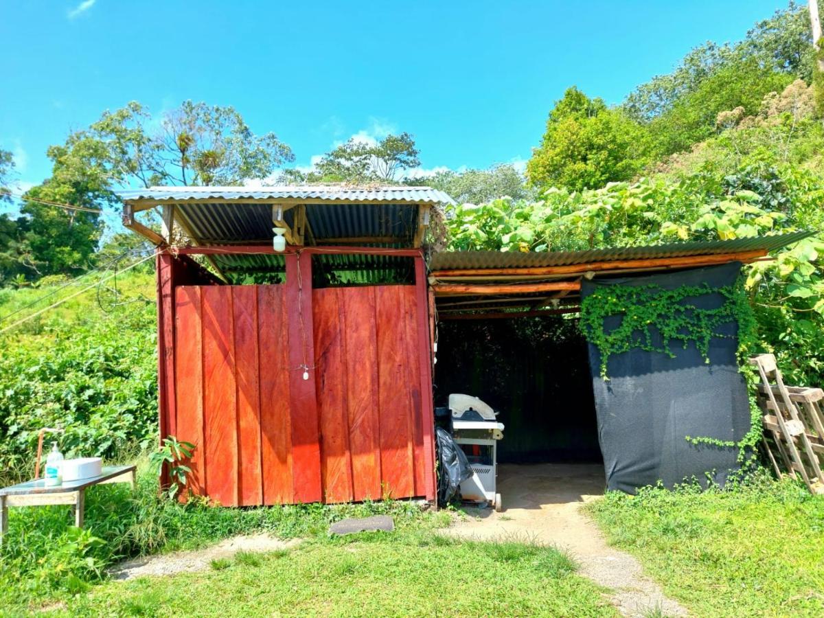 Rustico Arenal B&B La Fortuna Exterior foto